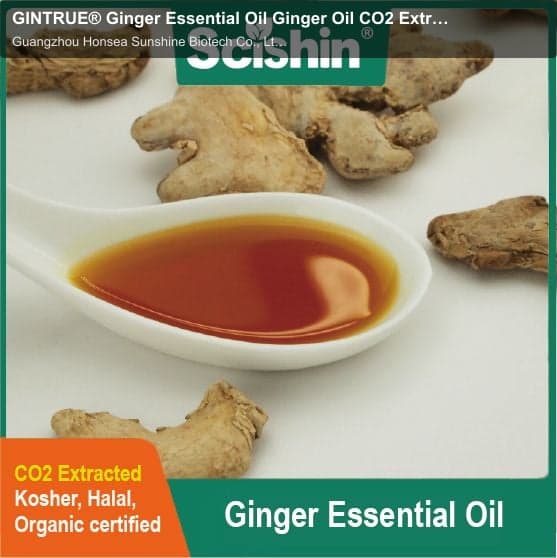 GINTRUE® Ginger Essential Oil Ginger Oil CO2 Extracted