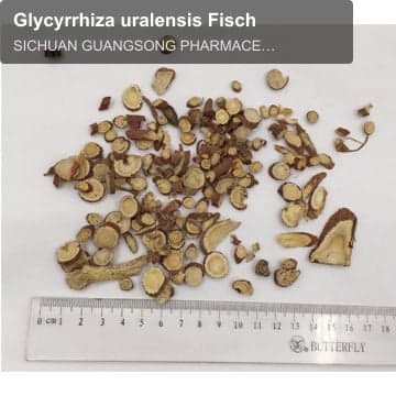 Glycyrrhiza uralensis Fisch