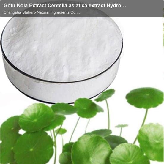 Gotu Kola Extract Centella asiatica extract Hydrocotyle asiatica extract Gotu Kola PE hydroxyasiatic