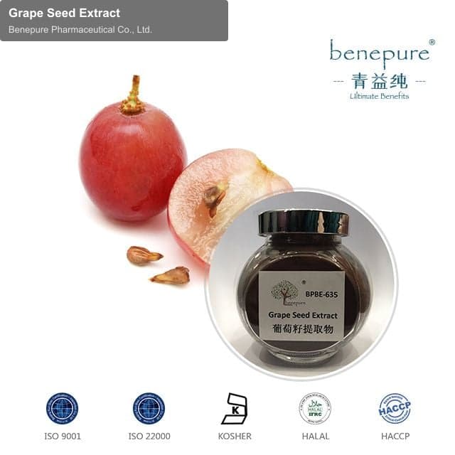 Grape Seed Extract
