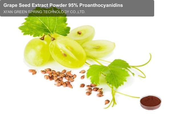Grape Seed Extract Powder 95% Proanthocyanidins