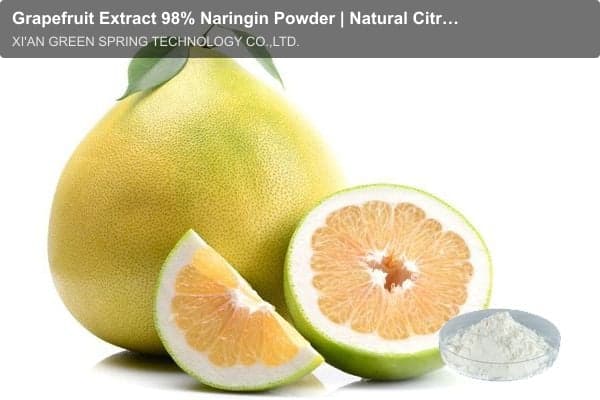 Grapefruit Extract 98% Naringin Powder | Natural Citrus Grandis L. Extract | Green Spring Technology
