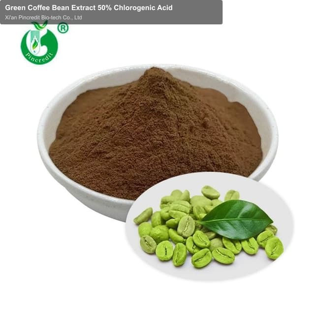 Green Coffee Bean Extract 50% Chlorogenic Acid