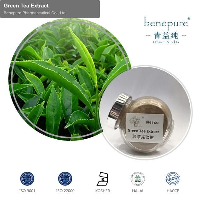 Green Tea Extract