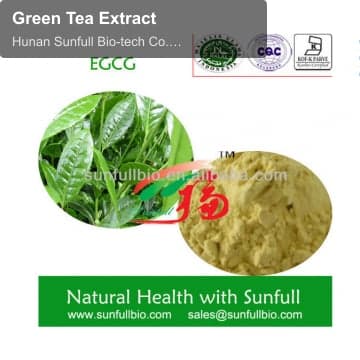 Green Tea Extract
