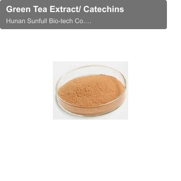 Green Tea Extract/ Catechins