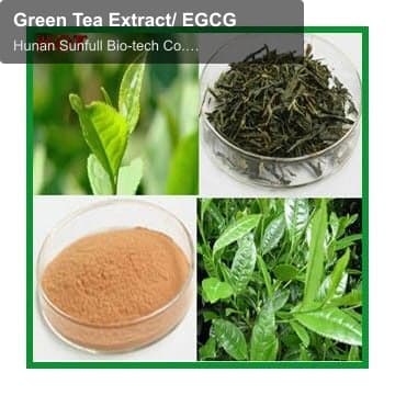 Green Tea Extract/ EGCG
