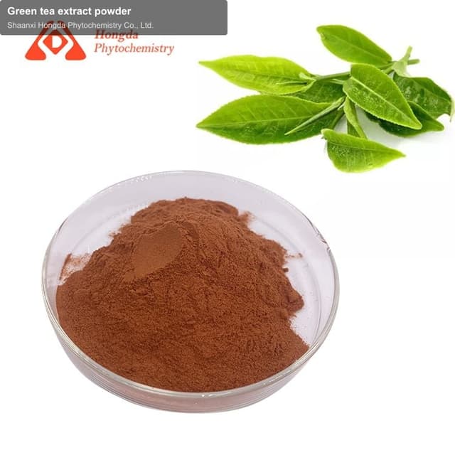 Green tea extract powder