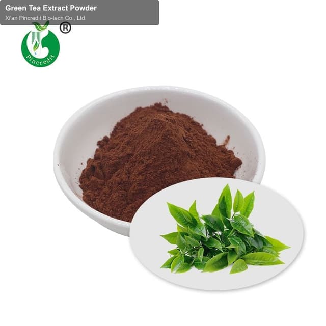 Green Tea Extract Powder