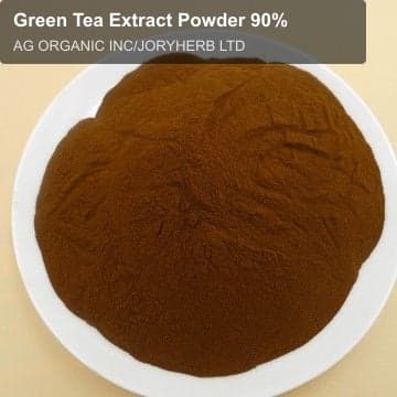 Green Tea Extract Powder 90%