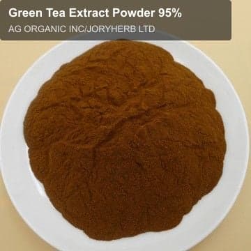 Green Tea Extract Powder 95%