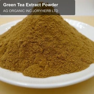 Green Tea Extract Powder