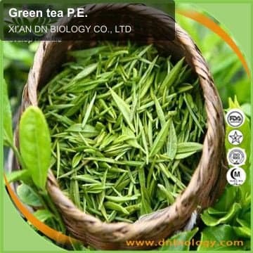 Green tea P.E.