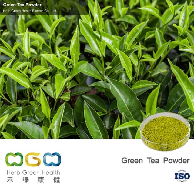 Green Tea Powder