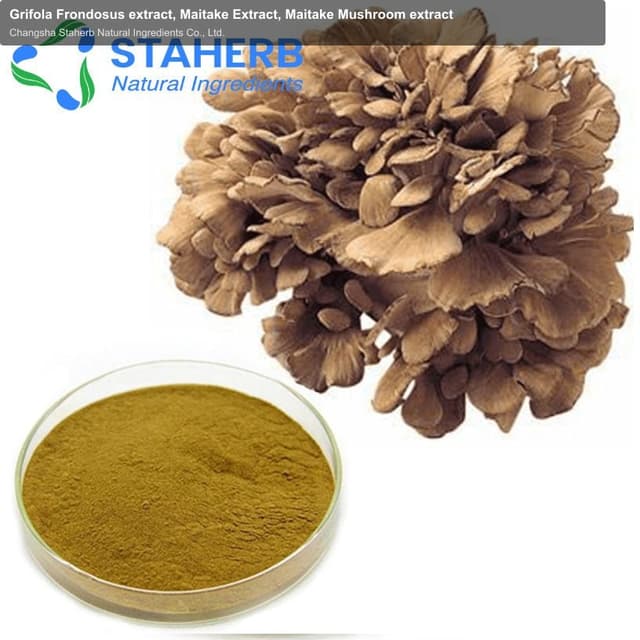 Grifola Frondosus extract, Maitake Extract, Maitake Mushroom extract