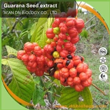 Guarana Seed extract