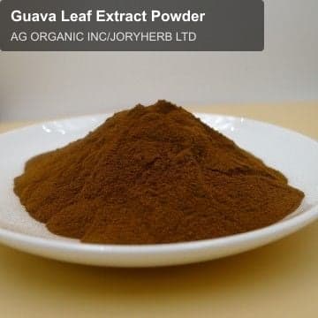 Guava Leaf Extract Powder