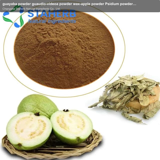 guayaba powder guaudio-videoa powder wax-apple powder Psidium powder guava powder