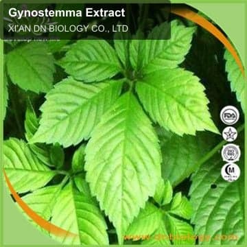 Gynostemma Extract