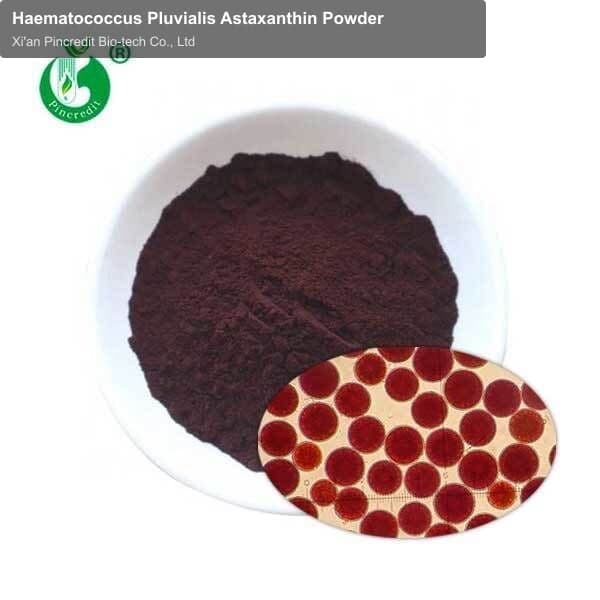 Haematococcus Pluvialis Astaxanthin Powder