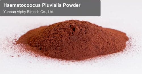 Haematocoocus Pluvialis Powder