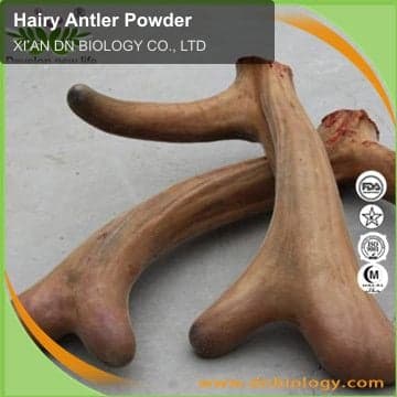 Hairy Antler Powder