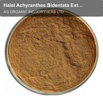Halal Achyranthes Bidentata Extract Powder10:1
