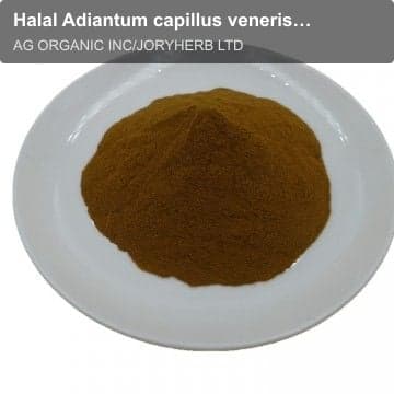 Halal Adiantum capillus veneris Extract Powder10:1