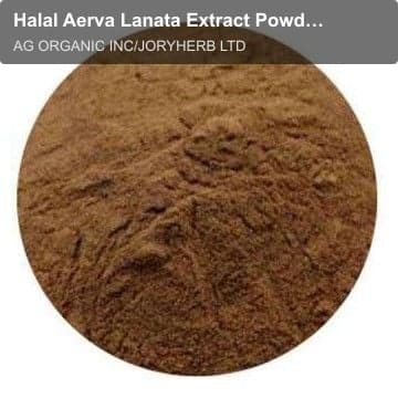 Halal Aerva Lanata Extract Powder10:1