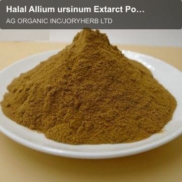 Halal Allium ursinum Extarct Powder 10:1