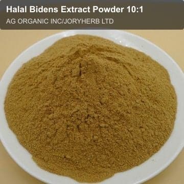 Halal Bidens Extract Powder 10:1
