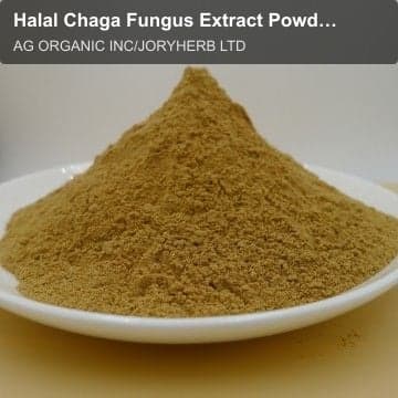 Halal Chaga Fungus Extract Powder 10:1