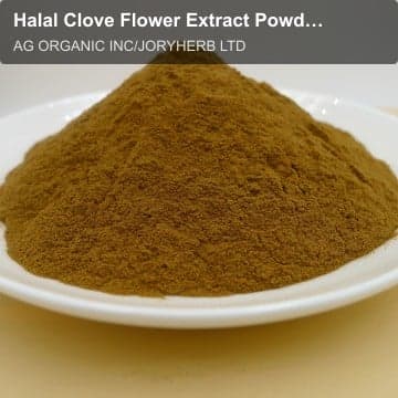 Halal Clove Flower Extract Powder 10:1