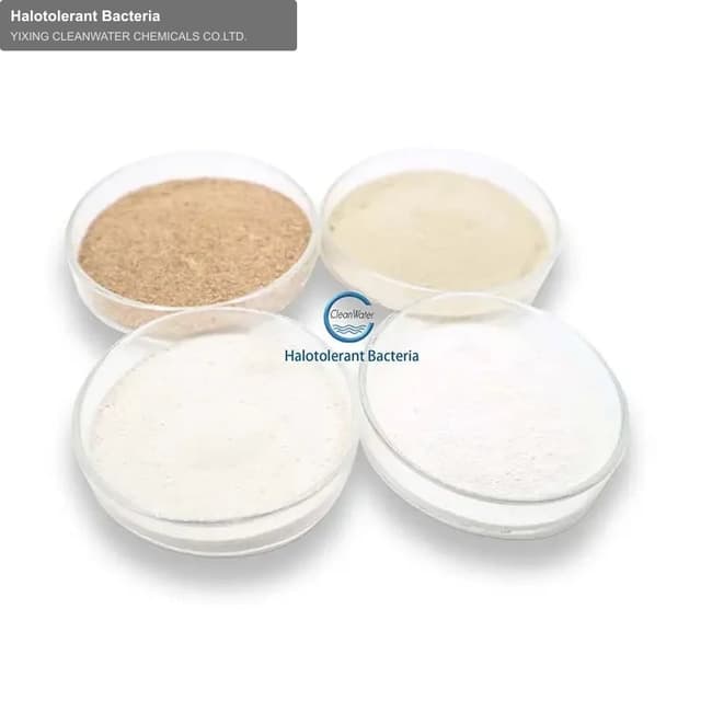 Halotolerant Bacteria