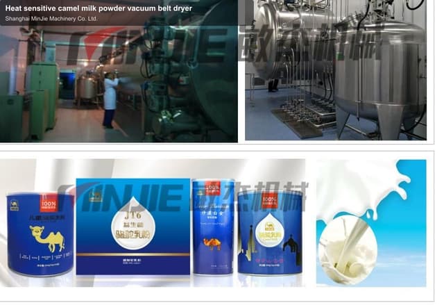Heat sensitive camel milk powder vacuum belt dryer