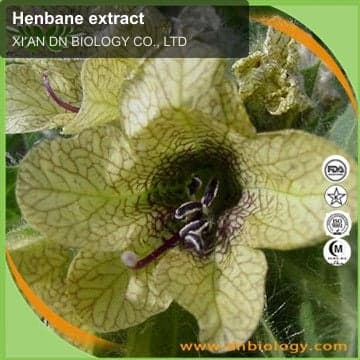 Henbane extract