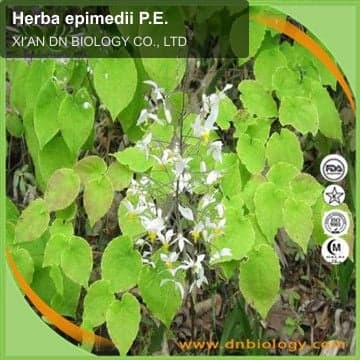 Herba epimedii P.E.