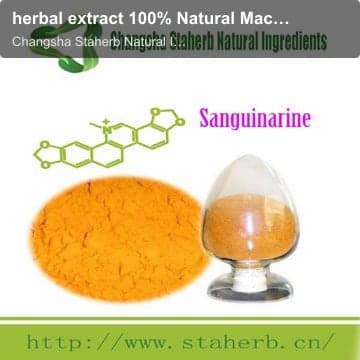 herbal extract 100% Natural Macleaya cordata extract /plumepoppy extract / sanguinaine