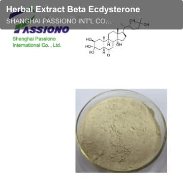 Herbal Extract Beta Ecdysterone