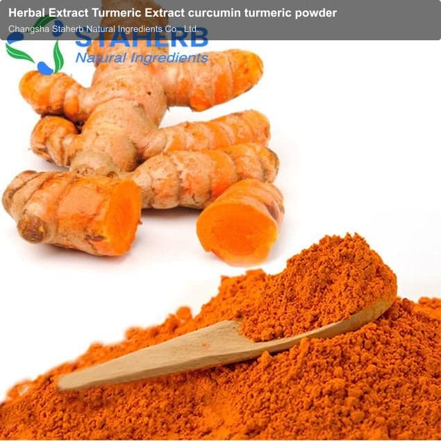 Herbal Extract Turmeric Extract curcumin turmeric powder