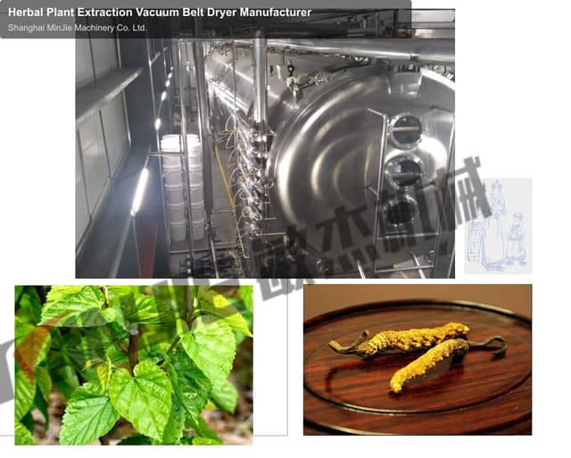 Herbal Plant Extraction Vacuum Belt Dryer Manufacturer