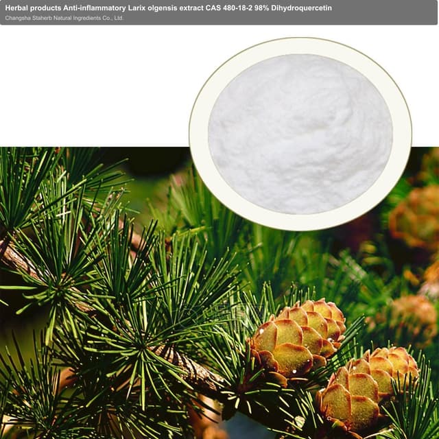 Herbal products Anti-inflammatory Larix olgensis extract CAS 480-18-2 98% Dihydroquercetin