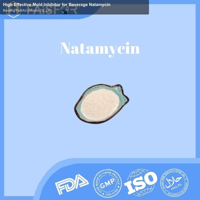 High Effective Mold Inhibitor for Beverage Natamycin