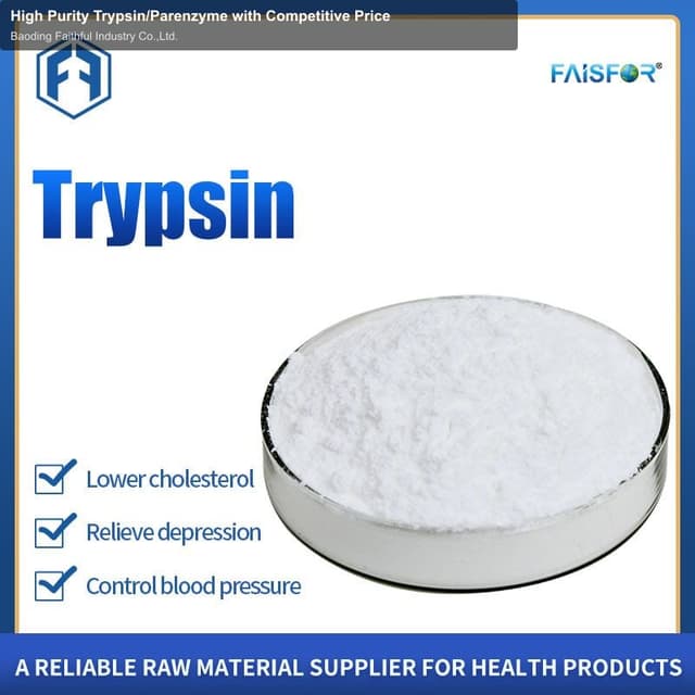 High Purity Trypsin/Parenzyme with Competitive Price