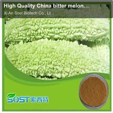 High Quality China bitter melon juice powder