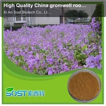 High Quality China gromwell root powder