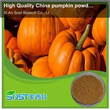 High Quality China pumpkin powder