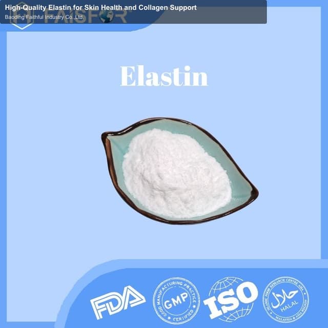 High-Quality Elastin for Skin Health and Collagen Support