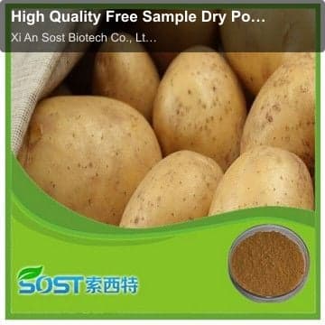 High Quality Free Sample Dry Potato Powder