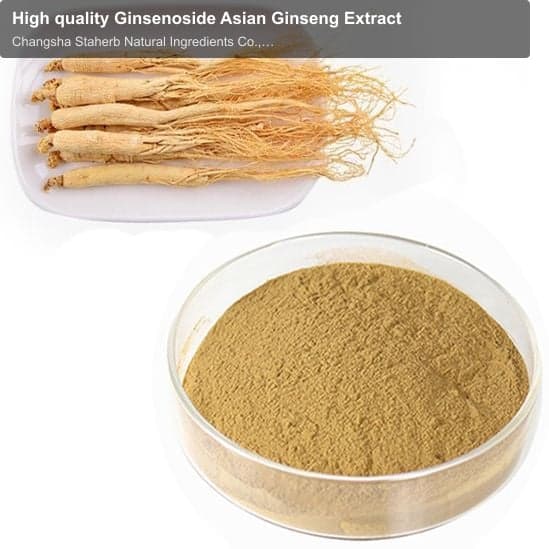 High quality Ginsenoside Asian Ginseng Extract
